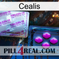 Cealis 37